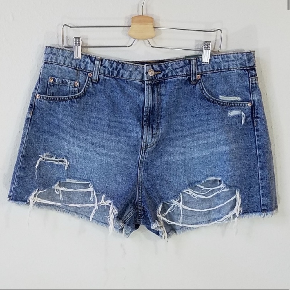 Wild fable shorts